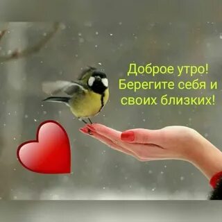 День береги