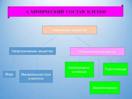 Клетка состоит из органических и неорганических