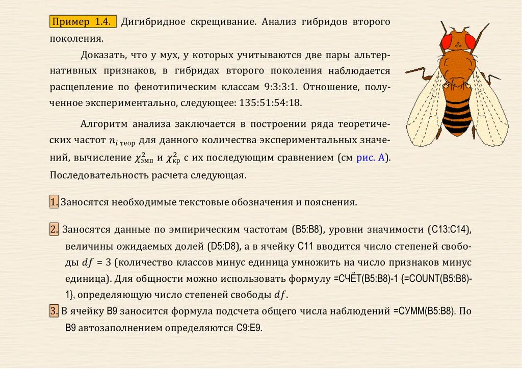 Скрещивание гетерозиготных дрозофил. Дигибридное скрещивание дрозофил. скрещивание мух дрозофил. дигибридное скрещивания у мухи дрозофилы. моногибридное скрещивание дрозофил.