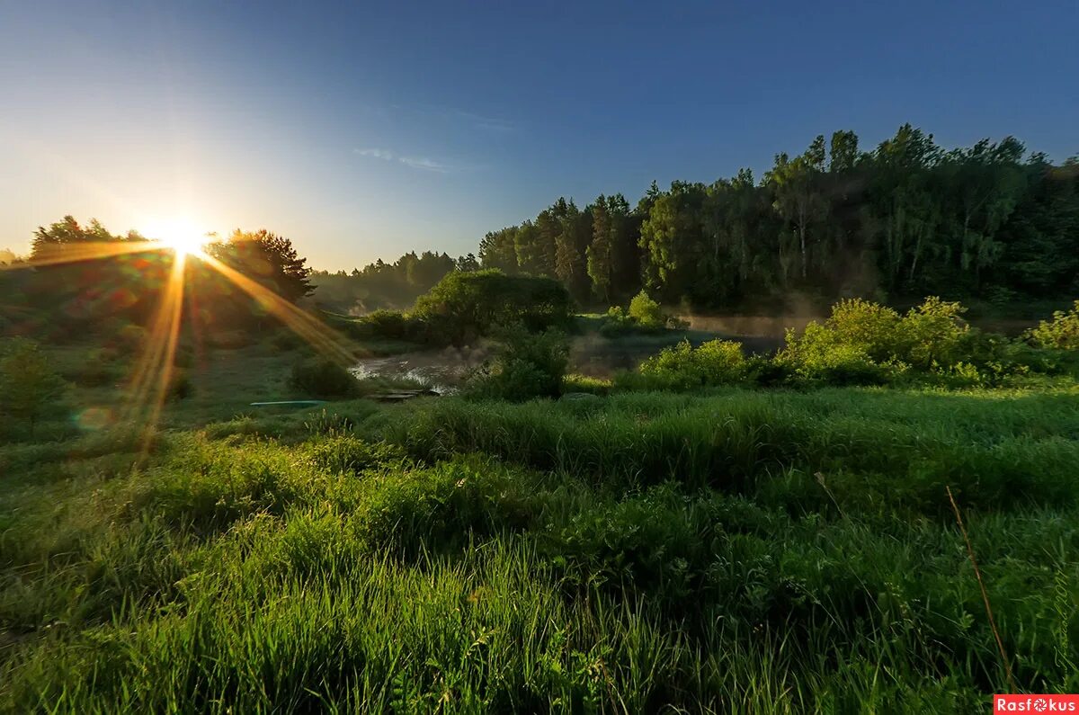 раннее утро. фотография утра. фотография утра. красивое утро фото. раннее летнее утро.