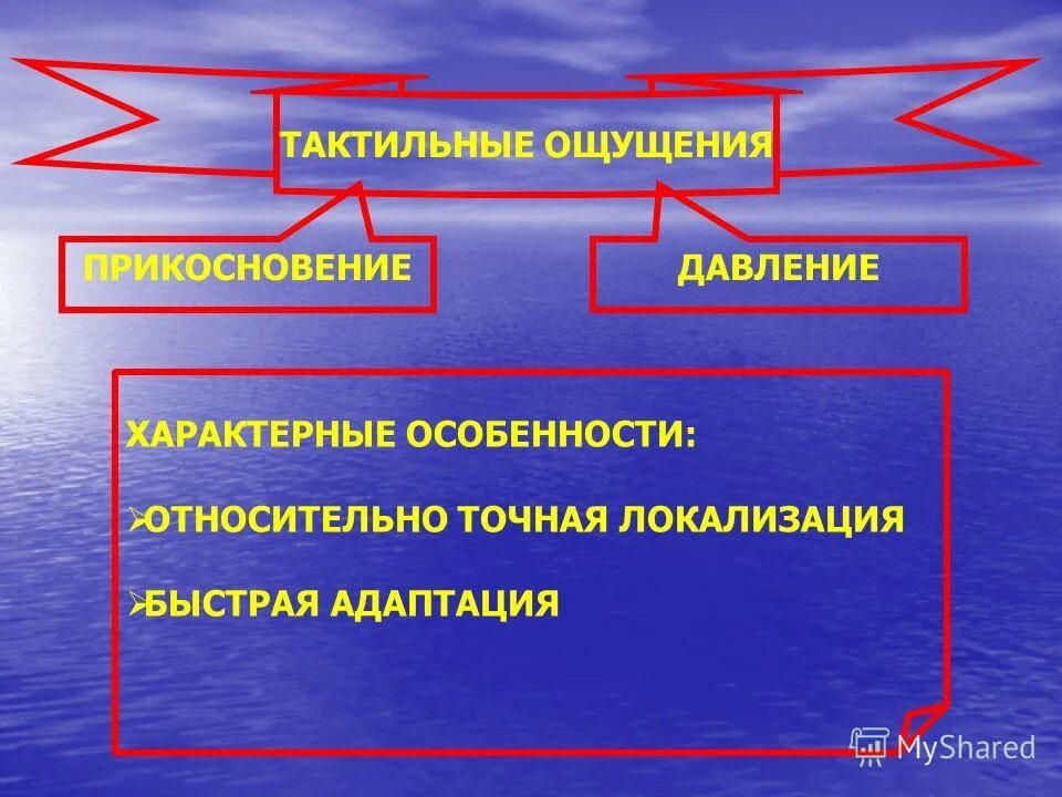 Ощущения вызывает неприятных ощущений. Тактильные ощущения. Виды тактильных ощущений. Виды тактильности. Тактильные ощущения в психологии.