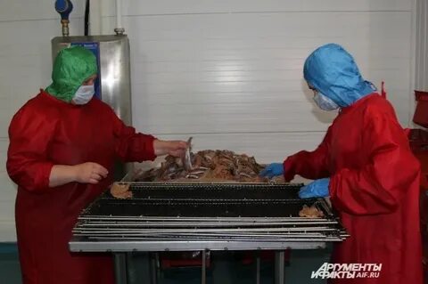 Новошахтинск отзывы