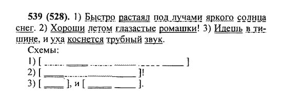 Русский язык пятый класс номер 106. Упражнение 539 по русскому языку 5 класс Разумовская. Упражнения 528 по русскому языку 5 класс. Домашние задания по русскому языку 5 класс Разумовская упражнение 502.