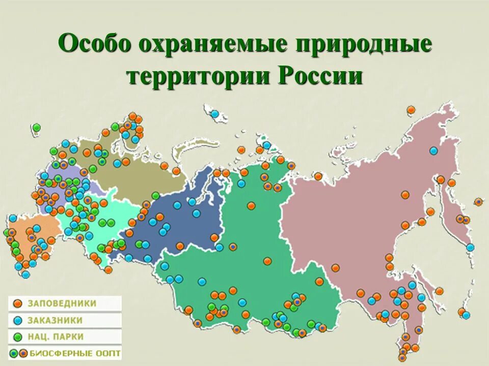 Сколько парков в россии. Особо охраняемые природные территории РФ карта. Карта особо охраняемые природные территории России 8 класс. Заповедники национальные парки заказники России на карте. Карта особо охраняемые природные территории России заповедники.