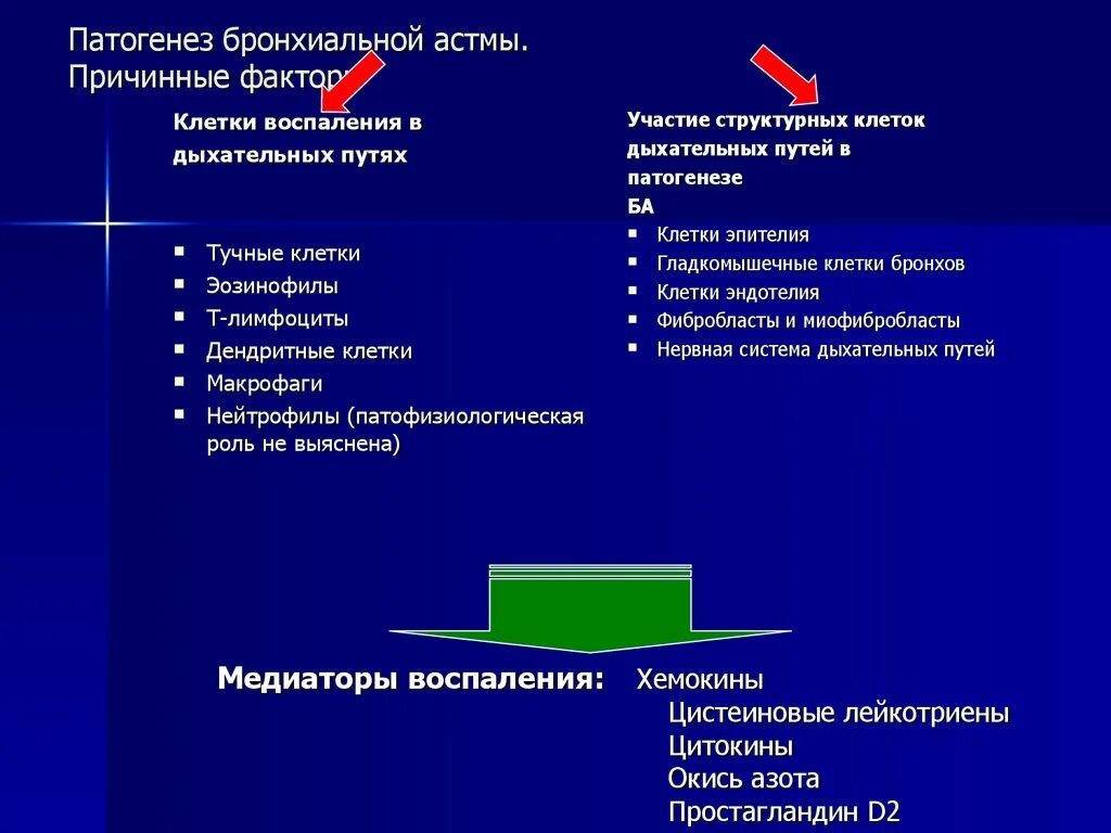 Системы играющей ведущую роль. Патогенез бр астмы. Механизм развития бронхиальной астмы. Патогенез аллергической ба.. Патогенез аллергической астмы.