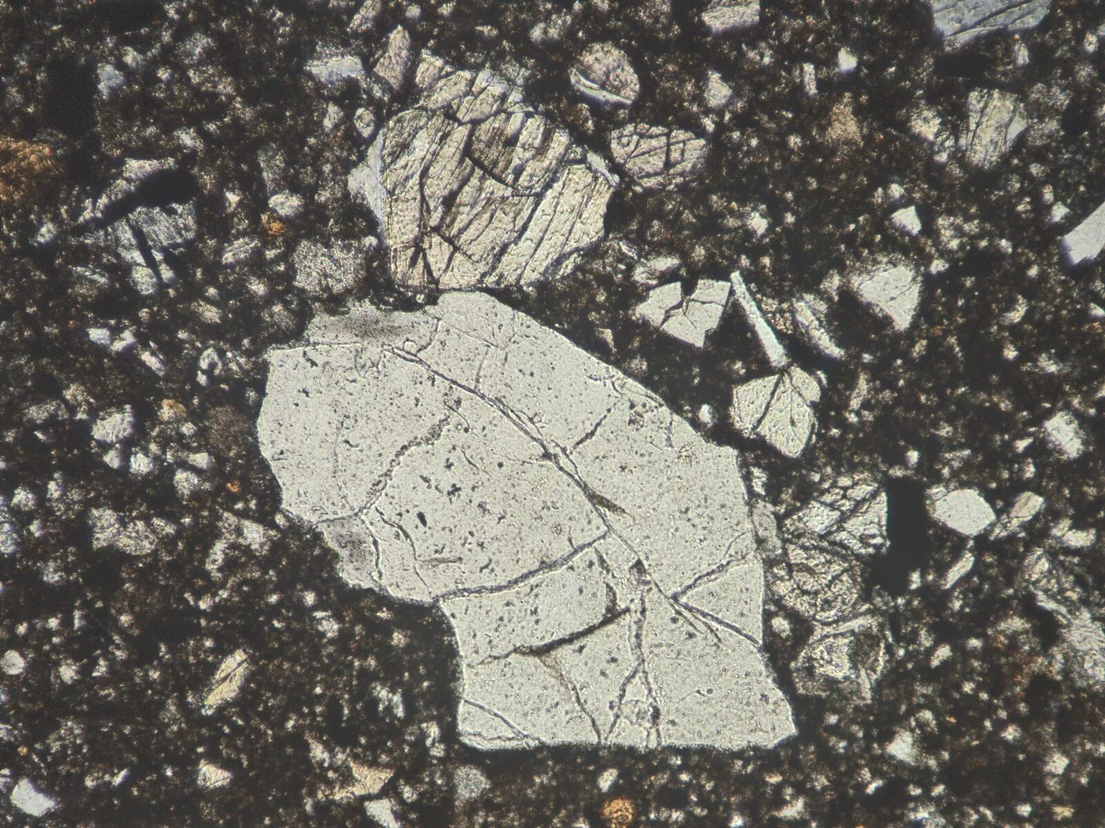 Thin sections