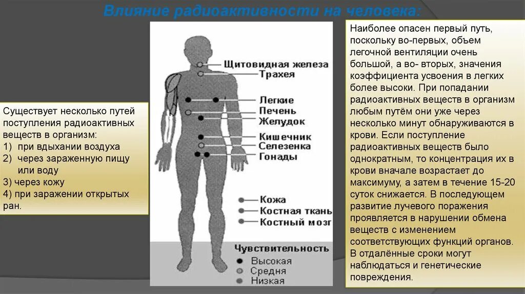 Влияние радиоактивных веществ. Радиоактивное заражение влияние на человека. Последствия воздействия радиации на организм человека. Влияние радиоактивных веществ на организм человека. Люди заражение радиацией