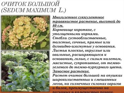 Многолетние организмы