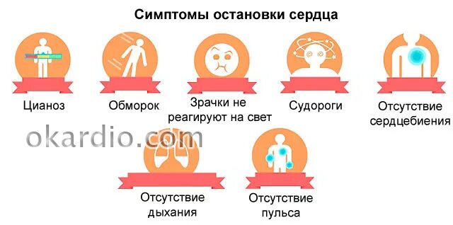 Останавливается сердце форум. Останавливается сердце форум