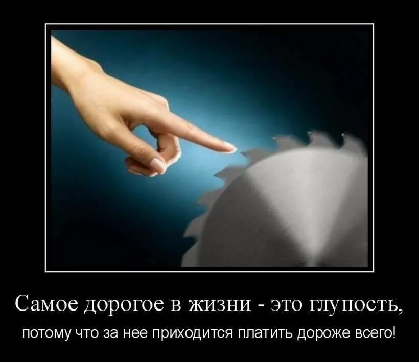 Глупый привести. Самое дорогое в жизни. Демотиваторы про глупость. Что самое дорогое в жизни цитаты. Что такое глупость определение.