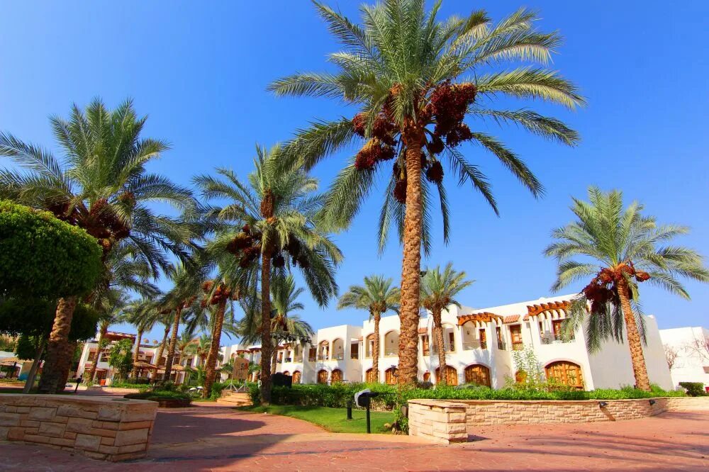 Coral hills 4. Coral Hills Sharm el Sheikh 4 Египет Шарм-Эль-Шейх. Корал Хиллс Резорт. Coral Hills Resort 4*. Coral Hills Sharm el Sheikh 3.