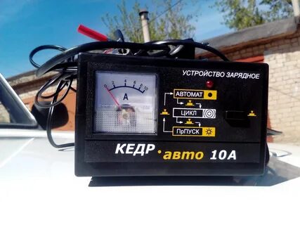 Зу кедр 10а