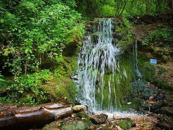 Где в Подмосковье можно увидеть настоящий водопад? ПОД НОСОМ Дзен