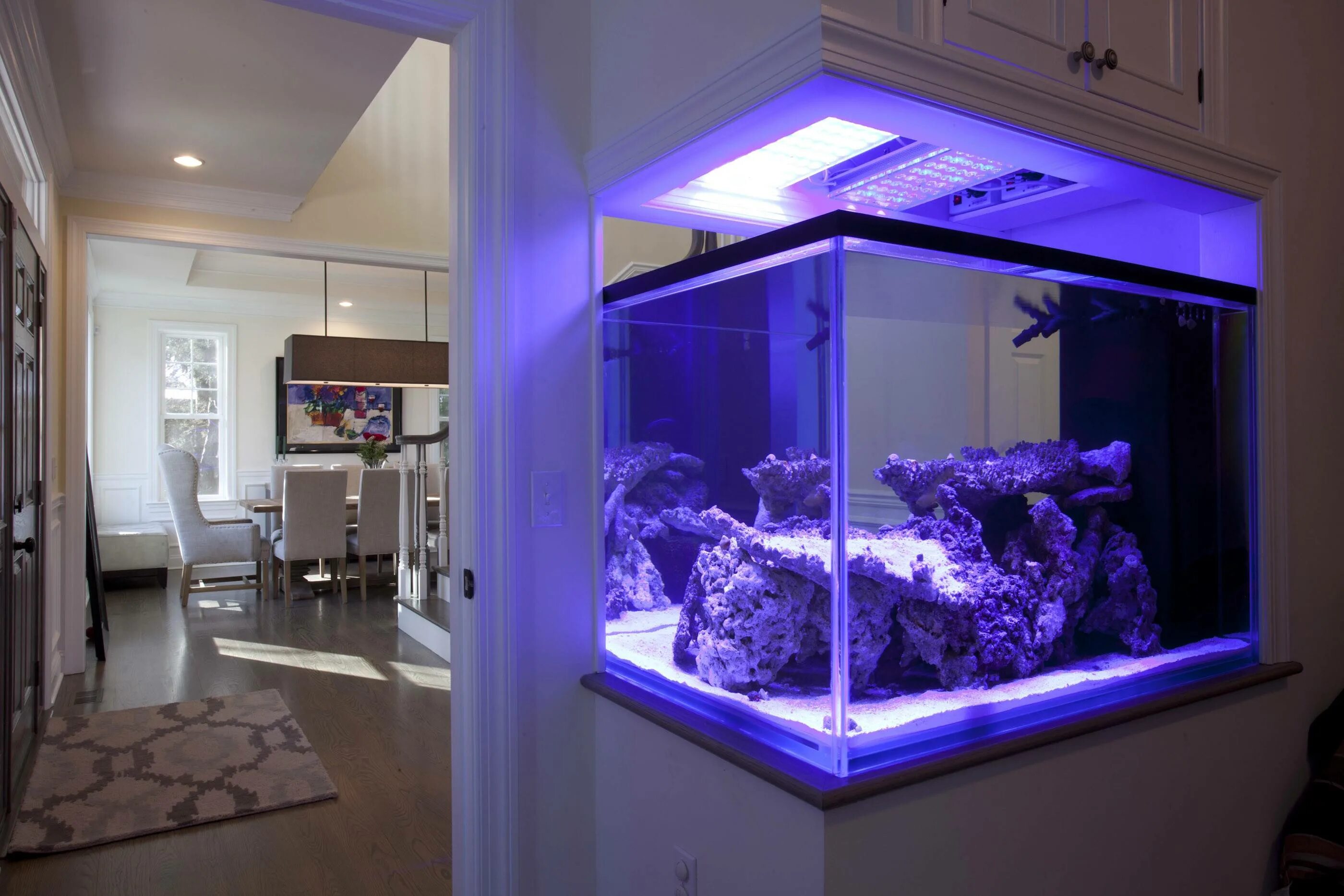 Морской аквариум. Дизайнерский аквариум. Аквариум в интерьере. Морской аквариум в квартире.
