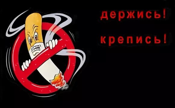 Держись крепись
