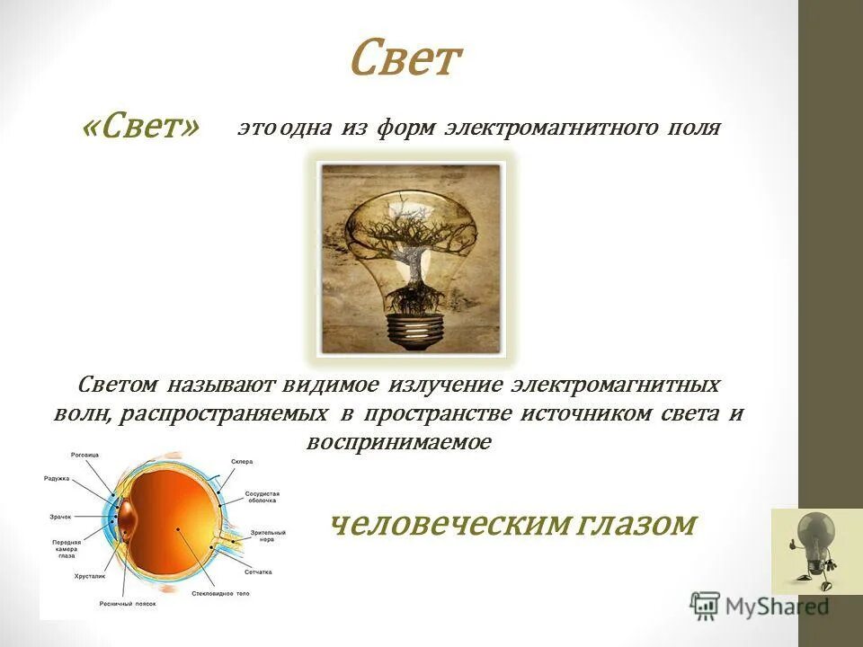 Линия горизонта география. Светр. Строение зрачка глаза человека. Принцип работы глаза. Стороны горизонта задания.