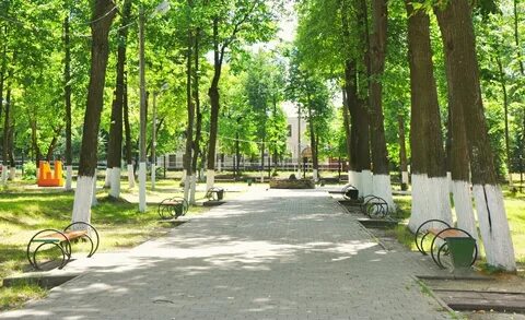 Парк культуры и отдыха приморский