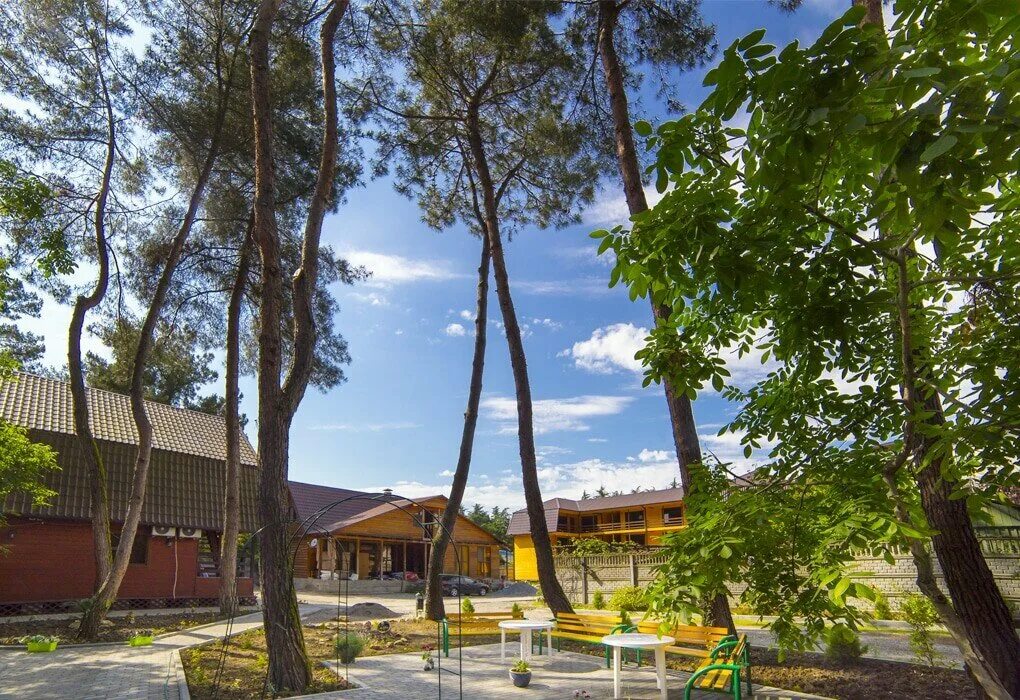 гостевой дом кипарисовая аллея. улица кипарисовая сочи. кипарисовая аллея лазаревское. ялта кипарисовая аллея в ялте. гостевой дом кипарисовая аллея.