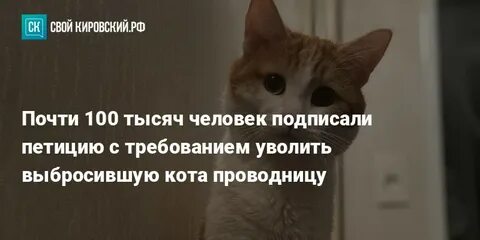 Петиция кот твикс уголовное дело