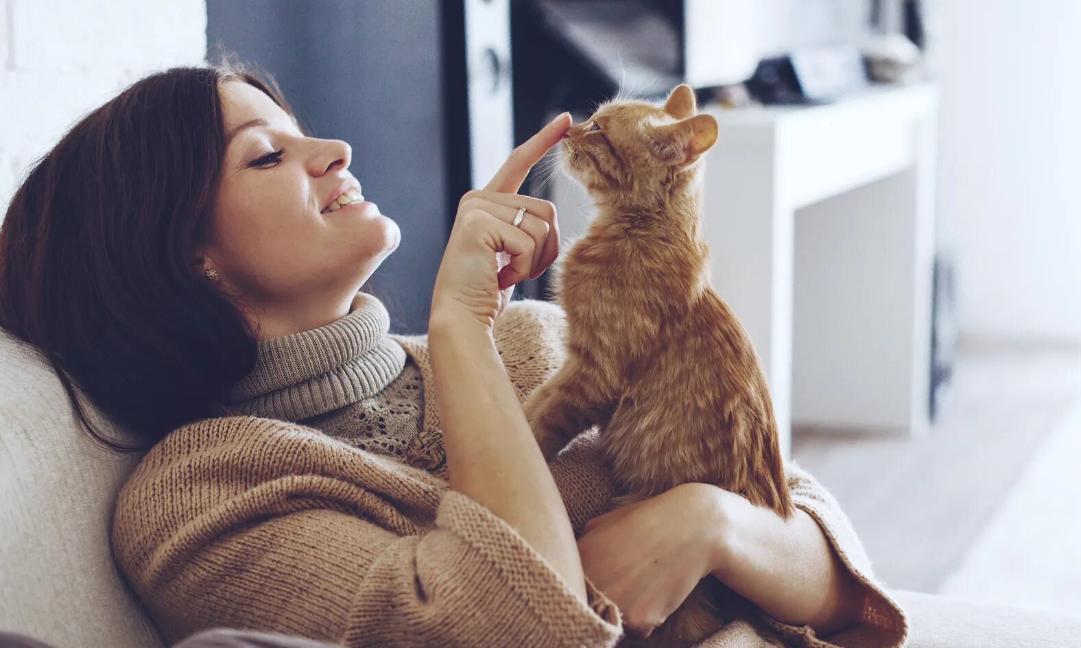 Кошка топчется передними лапами. Фелинотерапия. Кошка лучший друг человека. Кошки лучше женщин. Счастливый кот сидящий в телефоне.