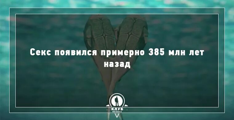10 фактов любимой