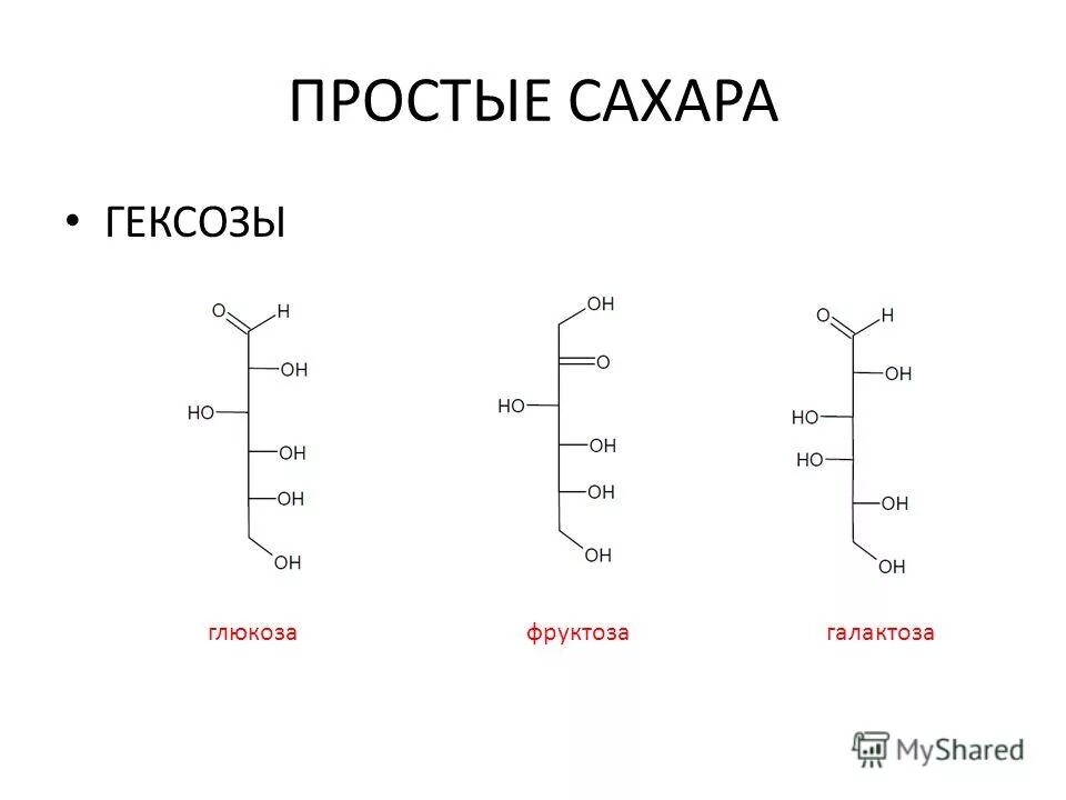 Тест 2 углеводы