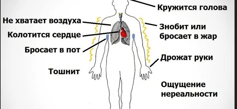 Почему человек дрожит когда ему очень холодно. Почему человек дрожит когда ему очень холодно
