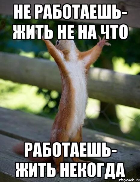 Запускается не с первого раза