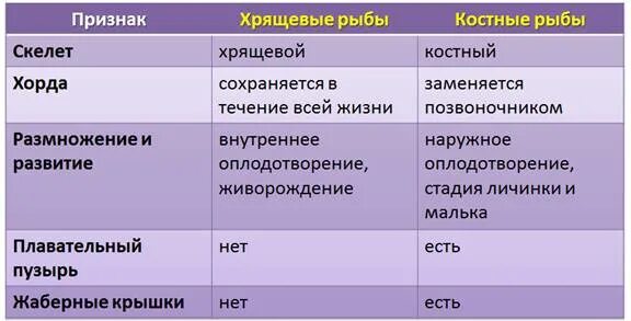 Какие способы размножения характерны для хрящевых. Признаки хрящевых и костных рыб таблица. таблица сравнения характеристик хрящевых и костных рыб. класс хрящевые и костные рыбы таблица. признаки различия хрящевых и костных рыб.
