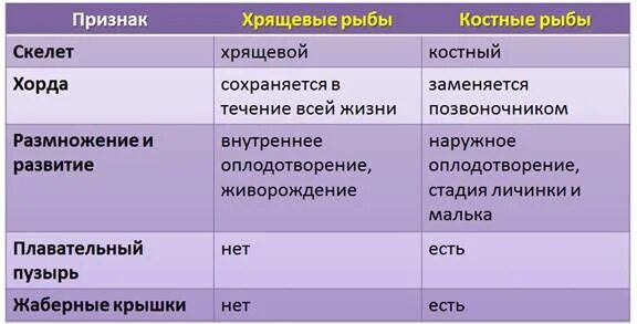 Чем отличаются классы рыб. Признаки хрящевых и костных рыб таблица. Таблица сравнения характеристик хрящевых и костных рыб. Признаки различия костных и хрящевых рыб. Костные и хрящевые рыбы таблица.