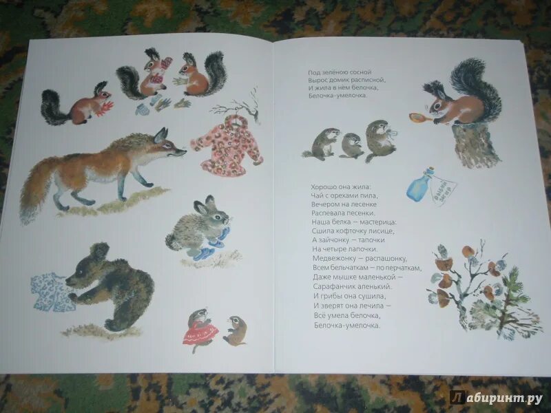 Под зеленою сосной песня. Зелёные шишки сосны. Стих про белочку. Текст песни я солдат. Под зеленою сосной песня.