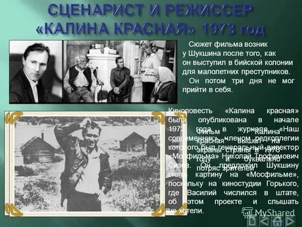 Слово о малой родине шукшин сочинение егэ