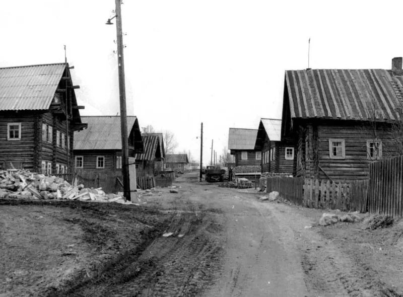 Заброшенные деревни брянской области дятьковского района. Заброшенные деревни в пермском крае. Деревня большая зверева деревня большая. Деревянная крепость переславль залесский. История деревни.