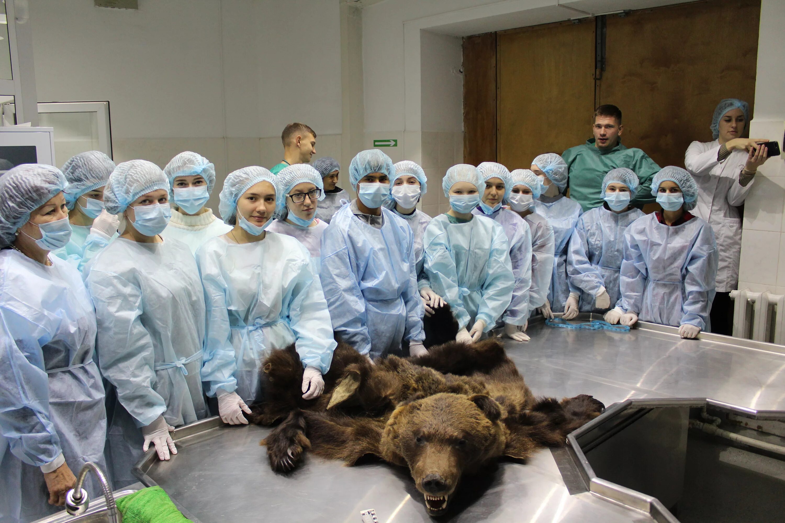 Ветеринарное образование. Образование ветеринара. Ветеринария медицина. Виварий академия скрябина. Судебно ветеринарное вскрытие.