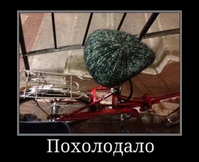 Похолодало разбор