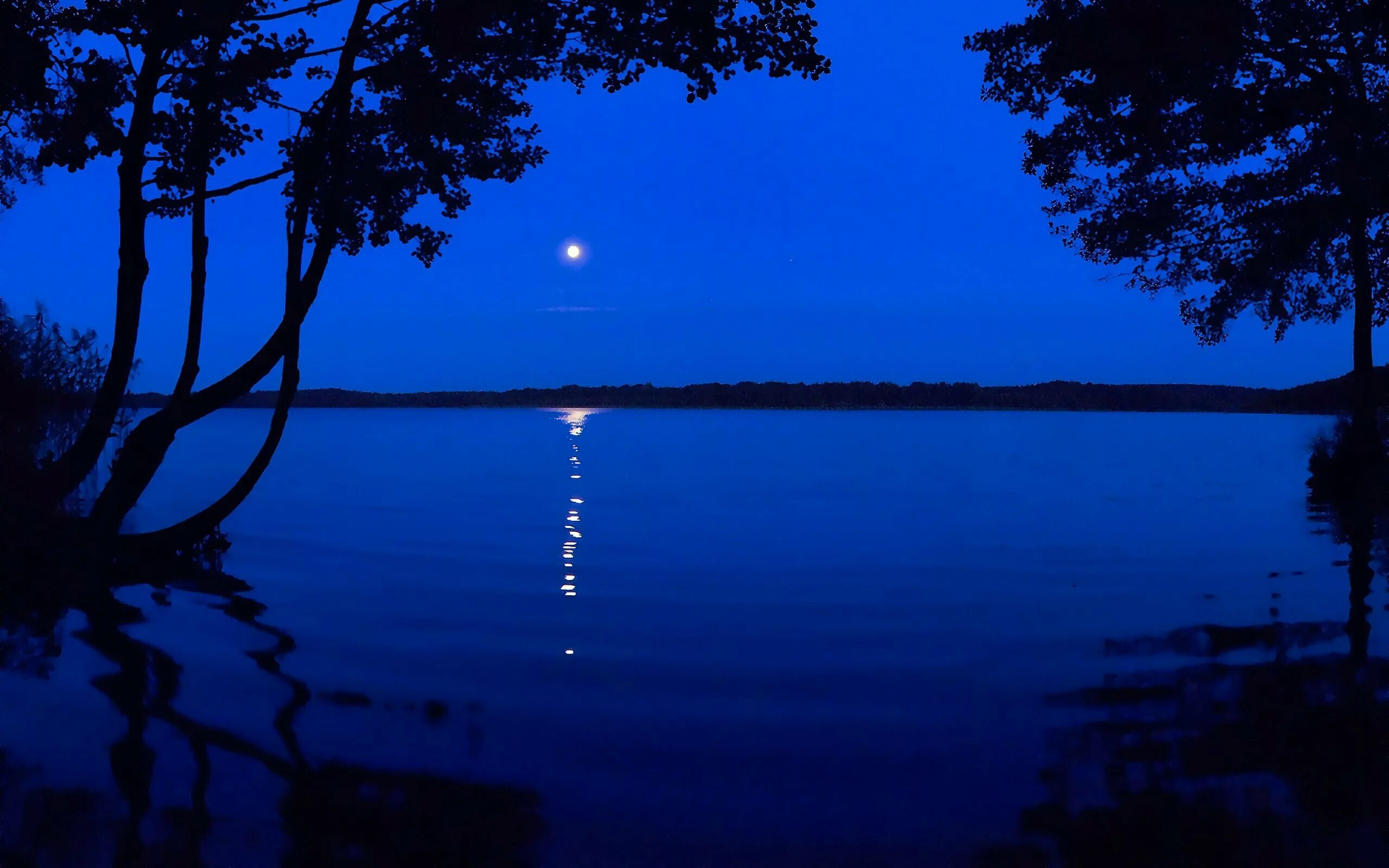 Вечера синь. Ночное озеро. Озеро ночью. Ночь озеро Луна. Ночной берег озера.