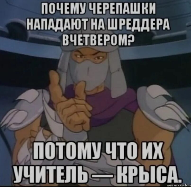 Почему черепашки ниндзя нападают. Шутки про сплинтера. сплинтер крыса мем. мемы про крысу из черепашек ниндзя. мем про черепашек ниндзя и сплинтера.