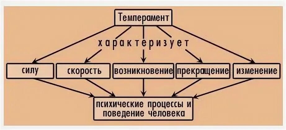 Структура темперамента. Схема темпераментов. Темперамент в структуре индивидуальности. Компоненты в структуре темперамента. Психологическая структура темперамента