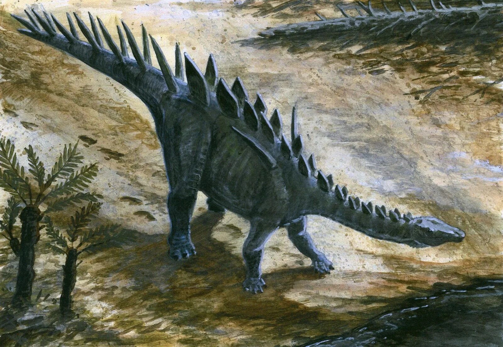 Стегозавры в мезозойскую эру. Стегозавр Эра. Стегозавр парк Юрского периода. Шаровка динозавр. Динозавры это животные