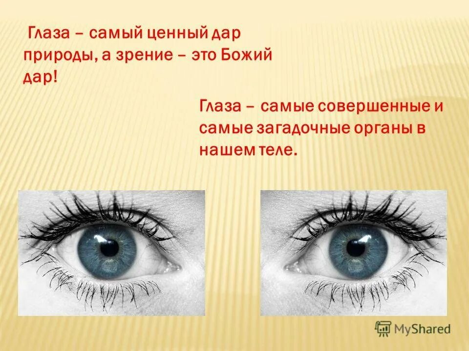 П верженный ос знавать под зрение
