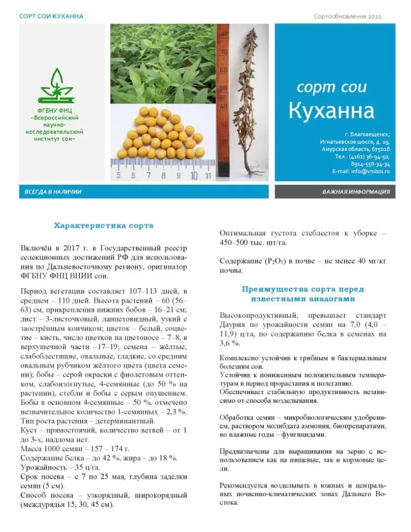 Сорта сои характеристика. Фотографии сортов сои и характеристики. Соя характеристика. Характеристика сои сорта славия. Сорт сои командор.