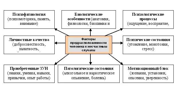 Влияние человеческого фактора. Факторы предрасположенности человека к несчастным случаям. Методика оценки влияния человеческого фактора. Группы причин опасных действий работников. Методика оценки действий