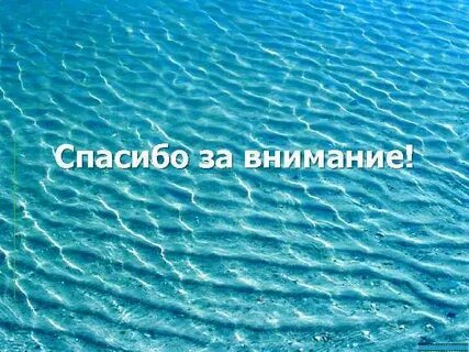 Коралловая вода вред