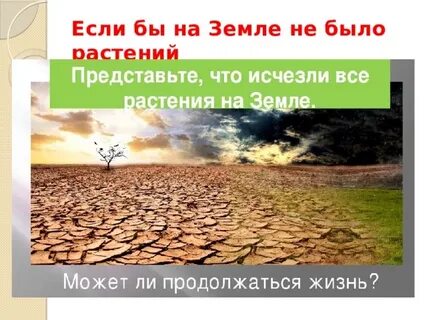 Что произойдет если исчезнут