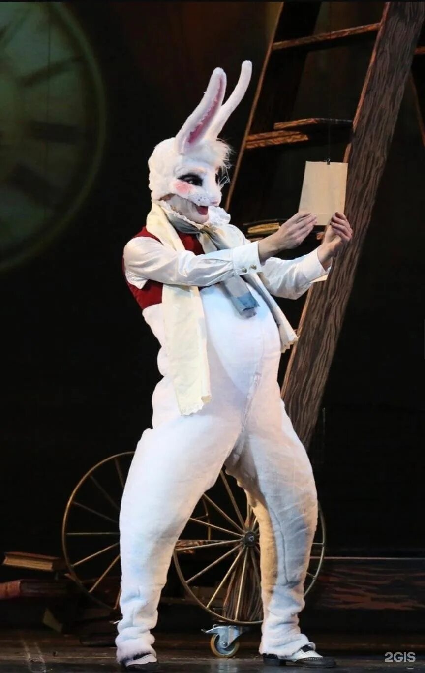 Спектакль алиса в стране чудес в театре. Сергей веселов мюзикл алиса. Фц москва алиса в стране чудес мюзикл. Мюзикл дисней бродвей. Мюзик холл алиса в стране чудес.