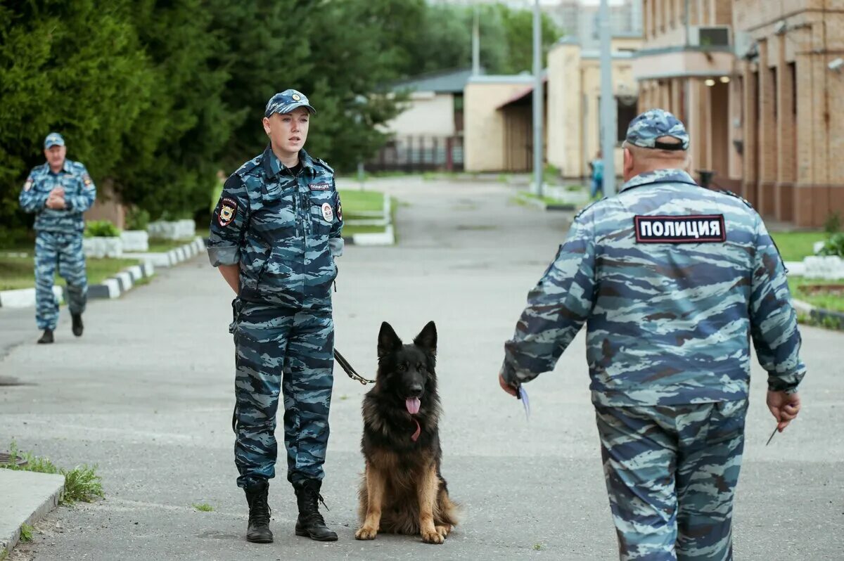 Московских кинолог. Кинолог в полиции. Полицейские кинологи с собаками. Форма полицейского кинолога.