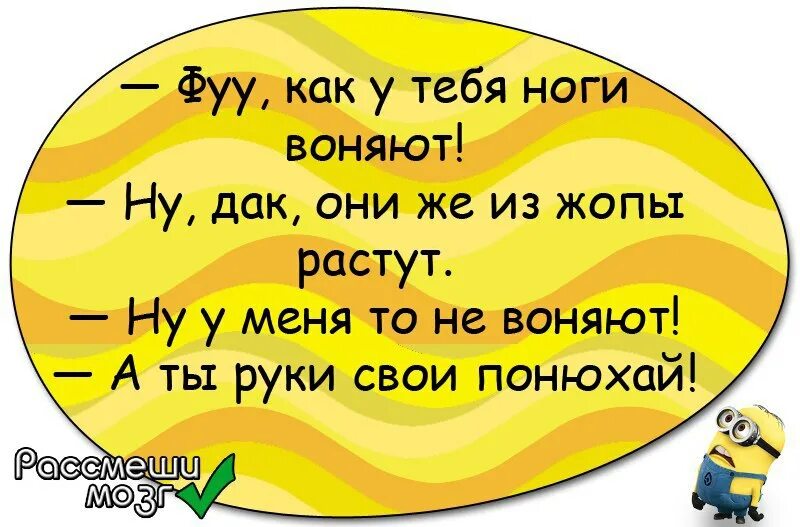 Потому что воняешь. Шутки про вонь. Анекдоты про вонь. Шутки про запах. Анекдот про запах.