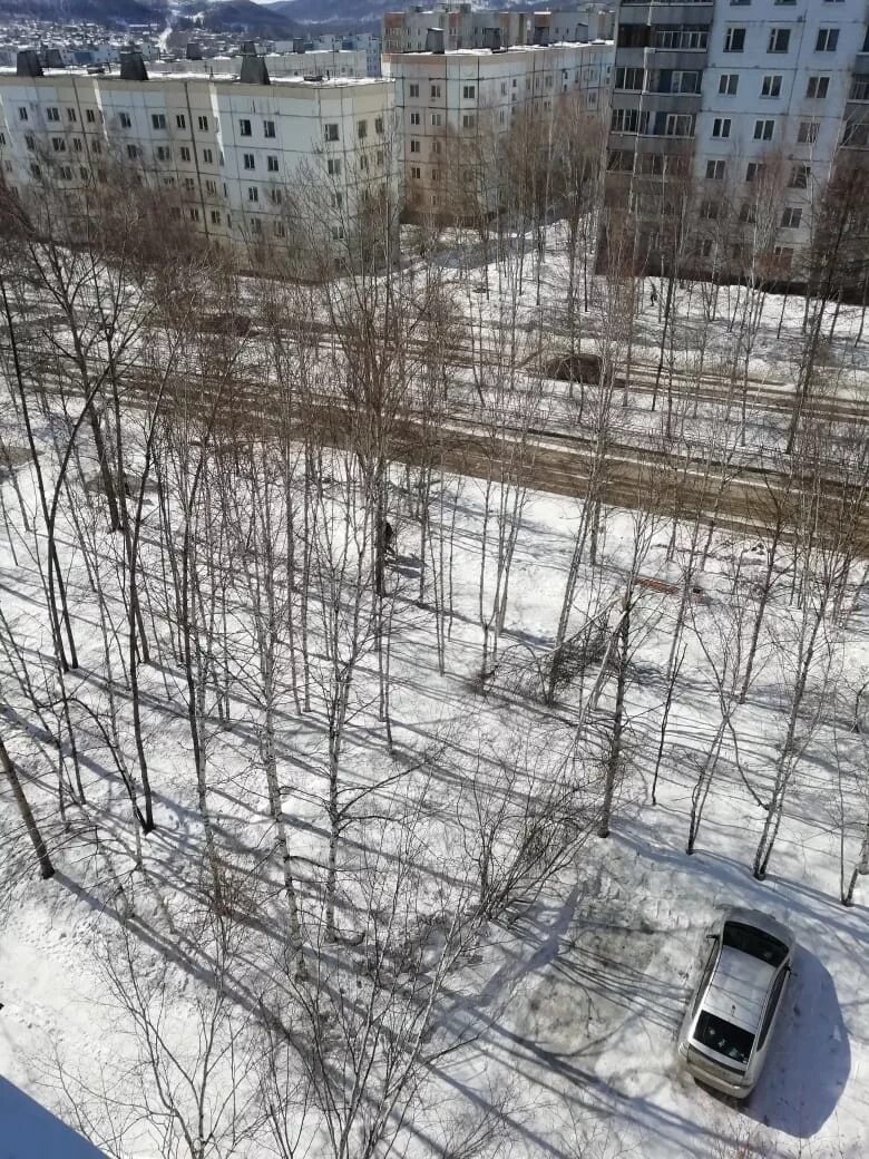 Город тында улица. Тында. тында улица школьная. город тында зимой.