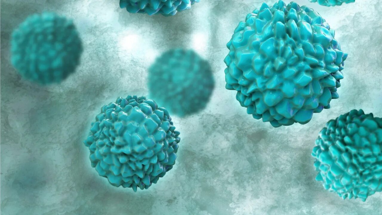 Ротавирус норовирус астровирус. Норовирус под микроскопом. Норовирус строение. Caliciviridae зараженные клетки.