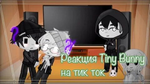 Реакция зайчика на т и